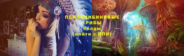 крисы Валуйки