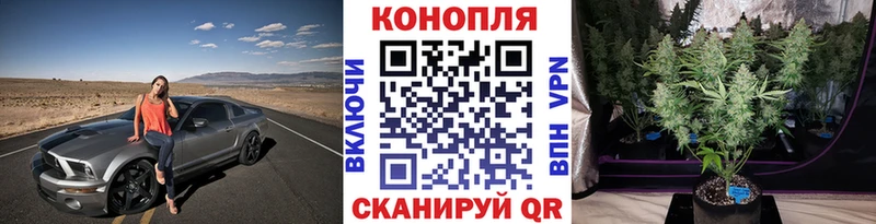 Конопля ГИДРОПОН  Боровск 